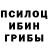 Псилоцибиновые грибы мухоморы Sound bJlacTep
