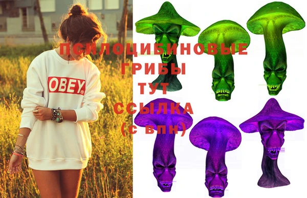 МДМА Каменка