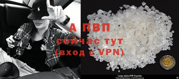 спиды Абаза