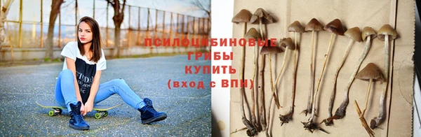 спиды Абаза