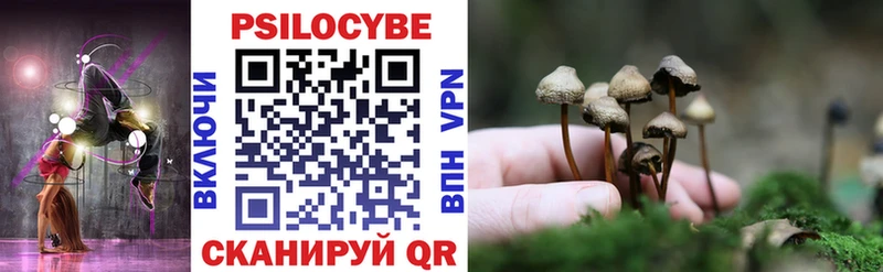 Псилоцибиновые грибы мицелий  omg рабочий сайт  Аткарск 